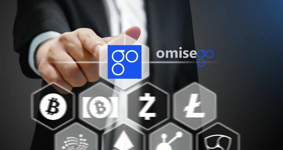 OmiseGO (OMG): Обещание открытого финансового сетевого пространства