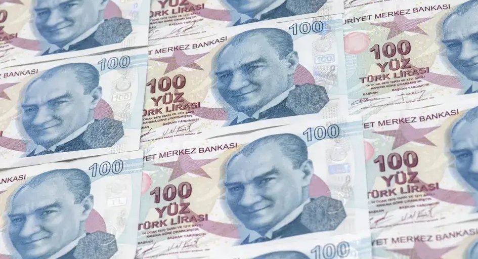 Турецкая лира достигла исторического минимума