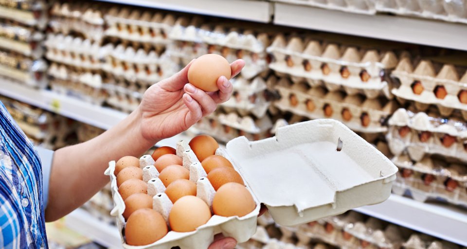 Будущее цен на яйца: факторы и прогнозы