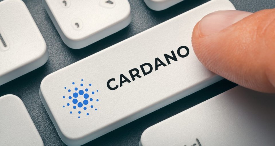 Гендиректор Cardano сообщил о готовящихся изменениях