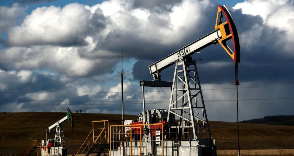 Цены на нефть могут вырасти до $100: Россия не стремится сильно ограничивать добычу нефти