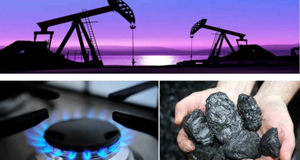 Власти Швеции запретят добычу угля, нефти и газа в стране
