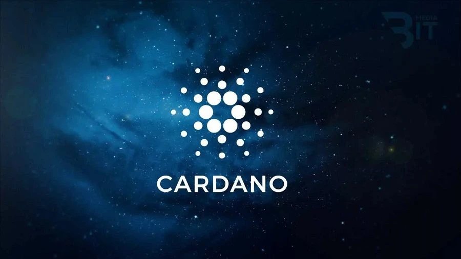 Разработчики Cardano увеличили размер блока в сети на 10%