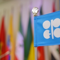 В ОПЕК не договорились о сокращении добычи нефти