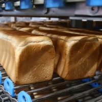 В России цены на хлеб зафиксируют до конца года