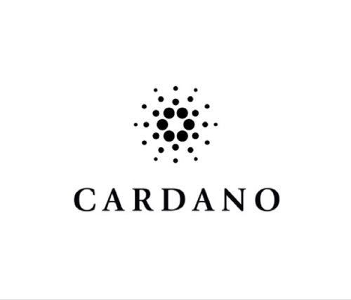 Как оформить хранилище для Cardano?