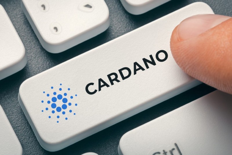 Будущее Cardano