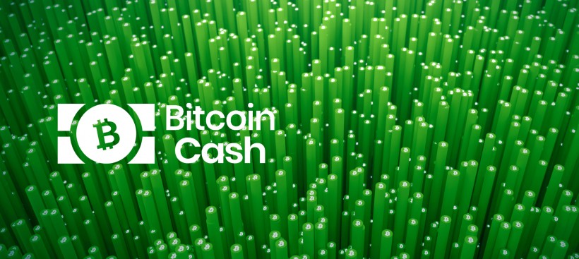 Выгодно ли майнить Bitcoin Cash?