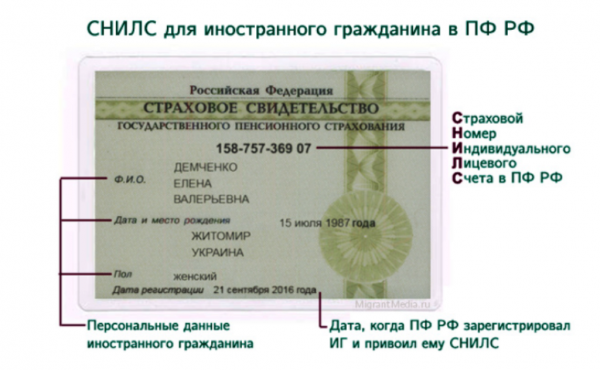 Для чего нужен СНИЛС