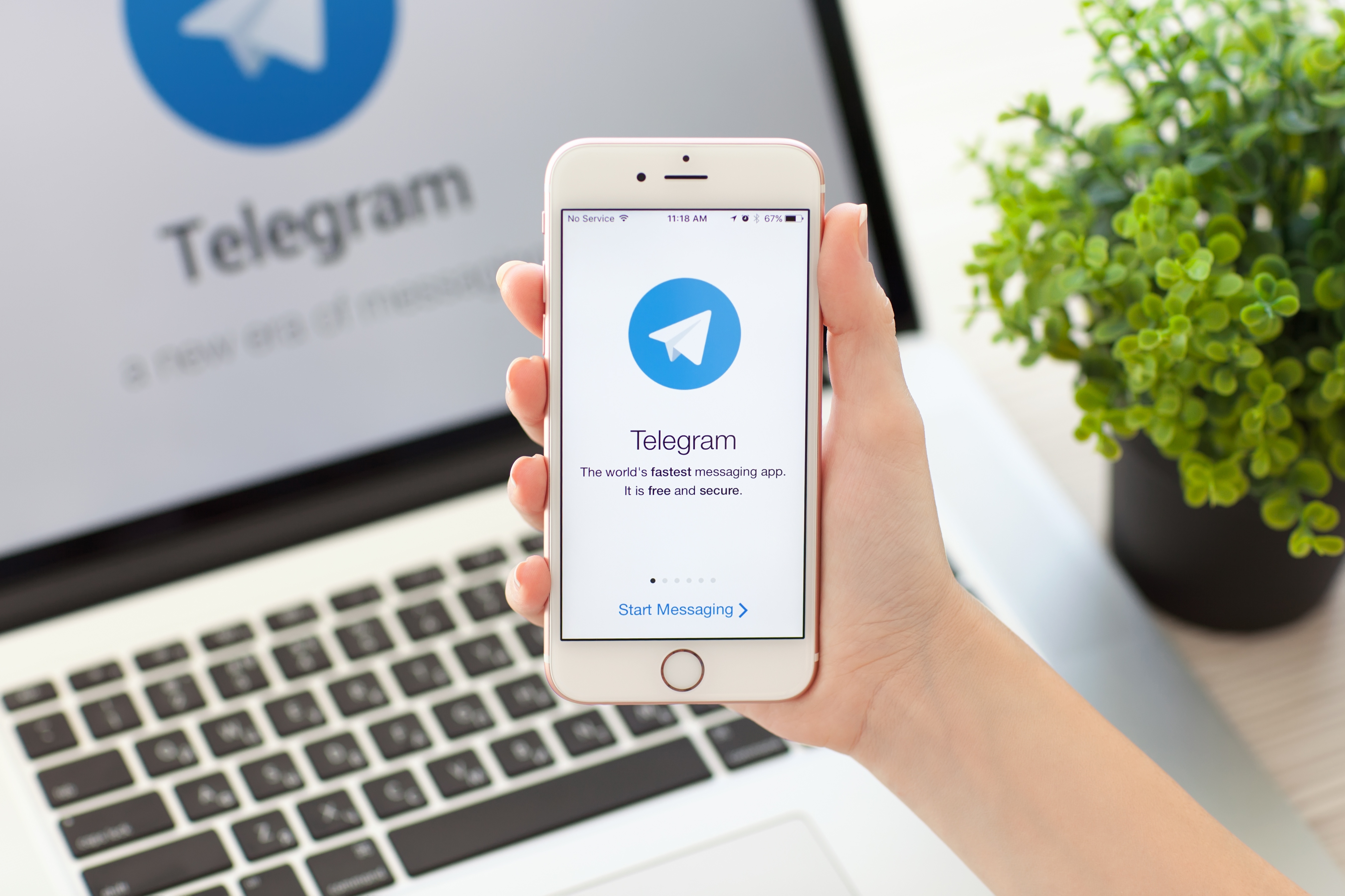 download telegram messenger llp download telegram messenger llp